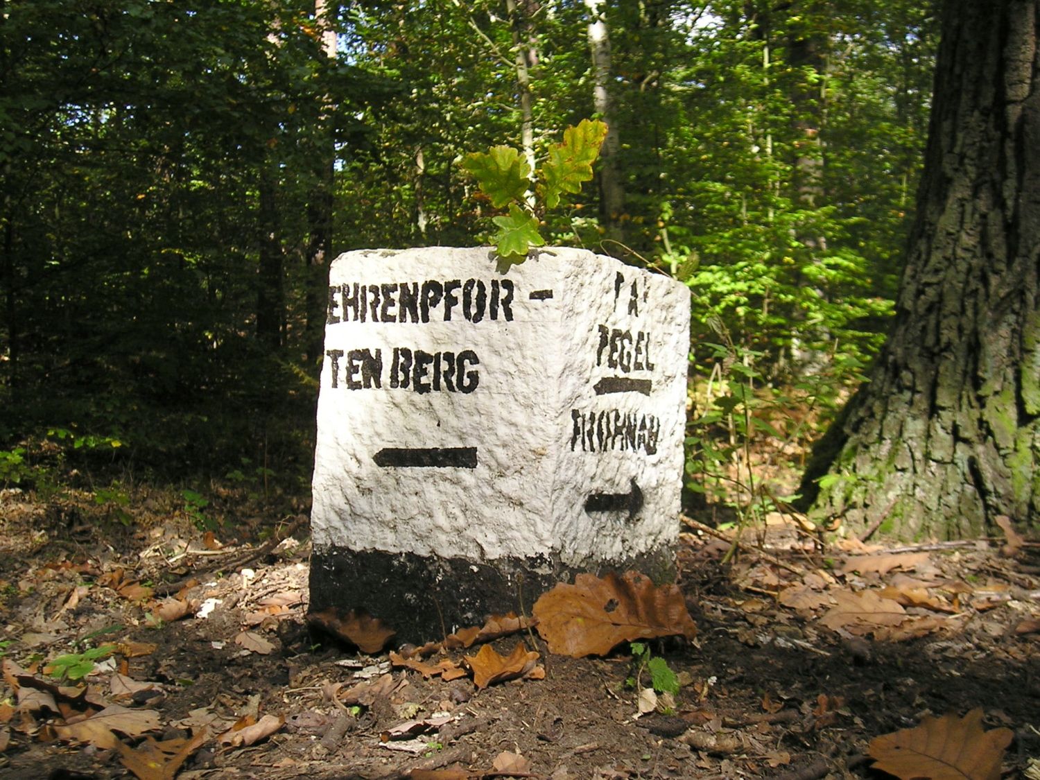 Wegweiser zum Ehrenpfortenberg