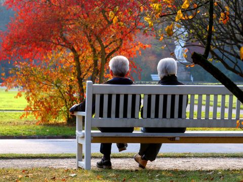 Altes Ehepaar im herbstlichen Park auf einer Bank