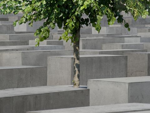 Stelenfeld mit Baum