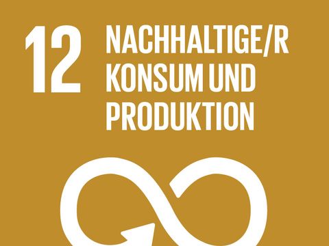 SDG 12 - Nachhaltige/r Konsum und Produktion