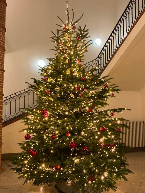 Weihnachtsbaum