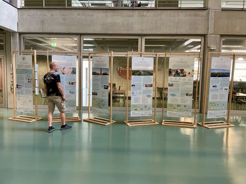 Ein Mann betrachtet eine von sechs großformatigen Informationstafeln, die in Holzrahmen frei stehend in einem hellen, modernen Atrium aufgestellt sind.