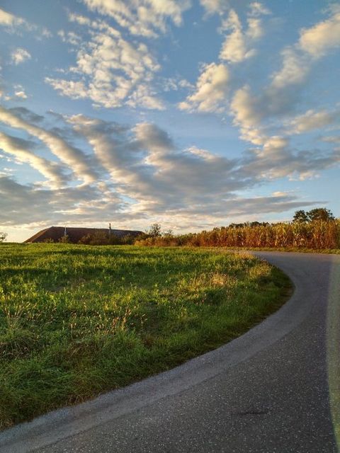 Donauradweg bei Sonnenuntergang