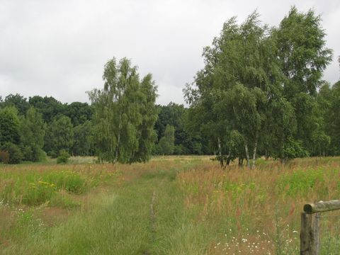 Mittelbruch (Bild: SenUMVK)