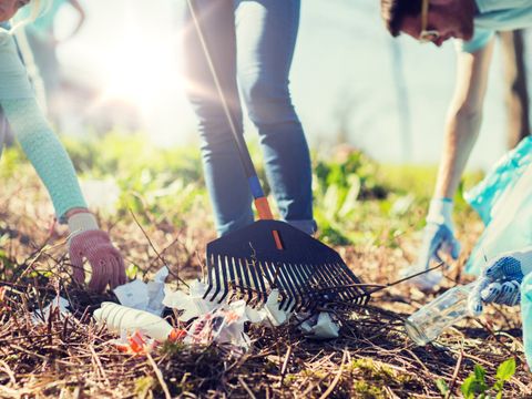 Jugendliche sammeln Abfall
