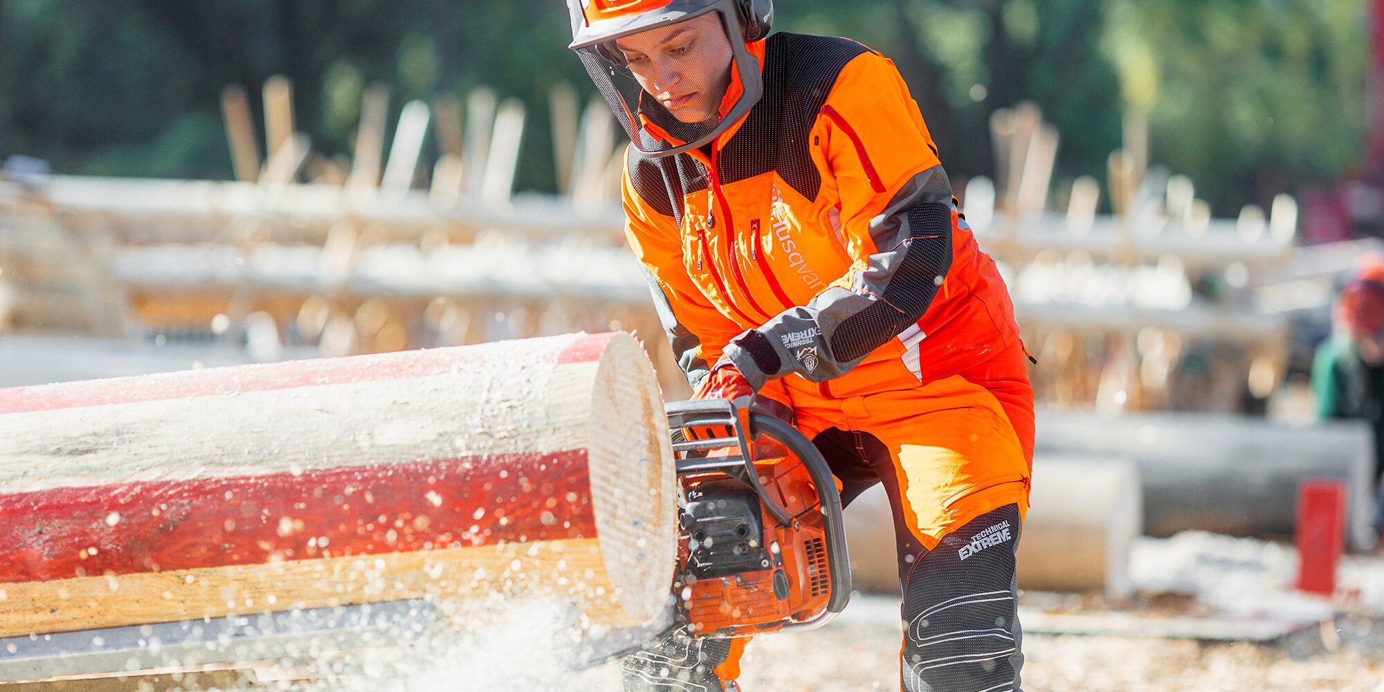Waldarbeitsmeisterschaft Berlin und Brandenburg 2024