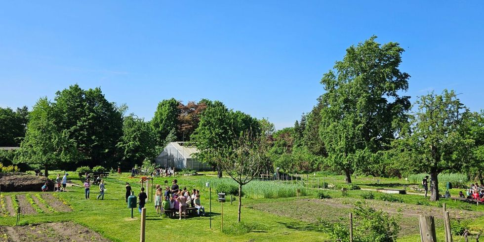 Blick auf die Schülerbeete