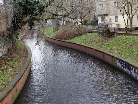 Panke unterhalb der Walter-Röber-Brücke