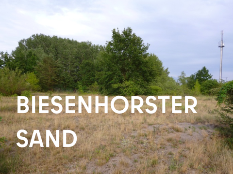 Biesenhorster Sand