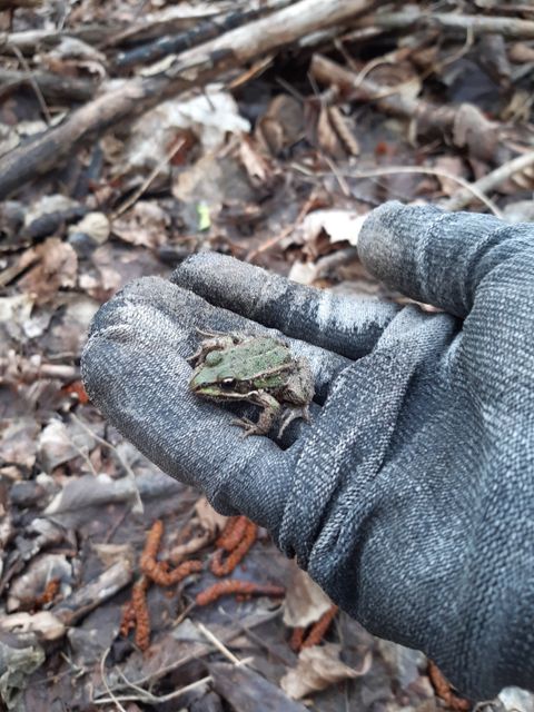 Helfende Hände gesucht (Bild: BA Rdf)