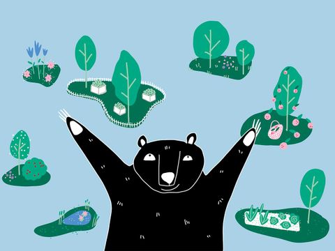 Titelzeichnung Gartenvielfalt. Gezeichneter Bär zeigt mit ausgestreckten Armen auf viele verschieden gestaltete Gärten