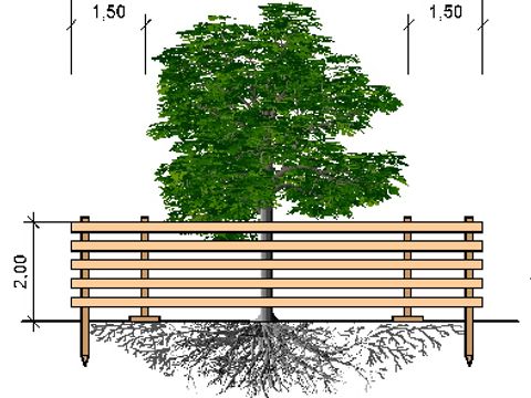 Baumschutz 1