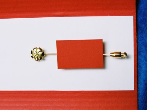 ehrennadel_f_r_besonderes_soziales_engagement