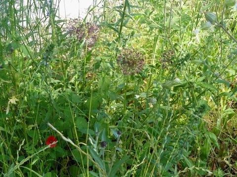 (Bild: Bibliothek Tiergarten-Süd)