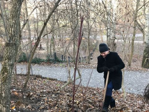 Pflanzungen im Volkspark Friedrichshain