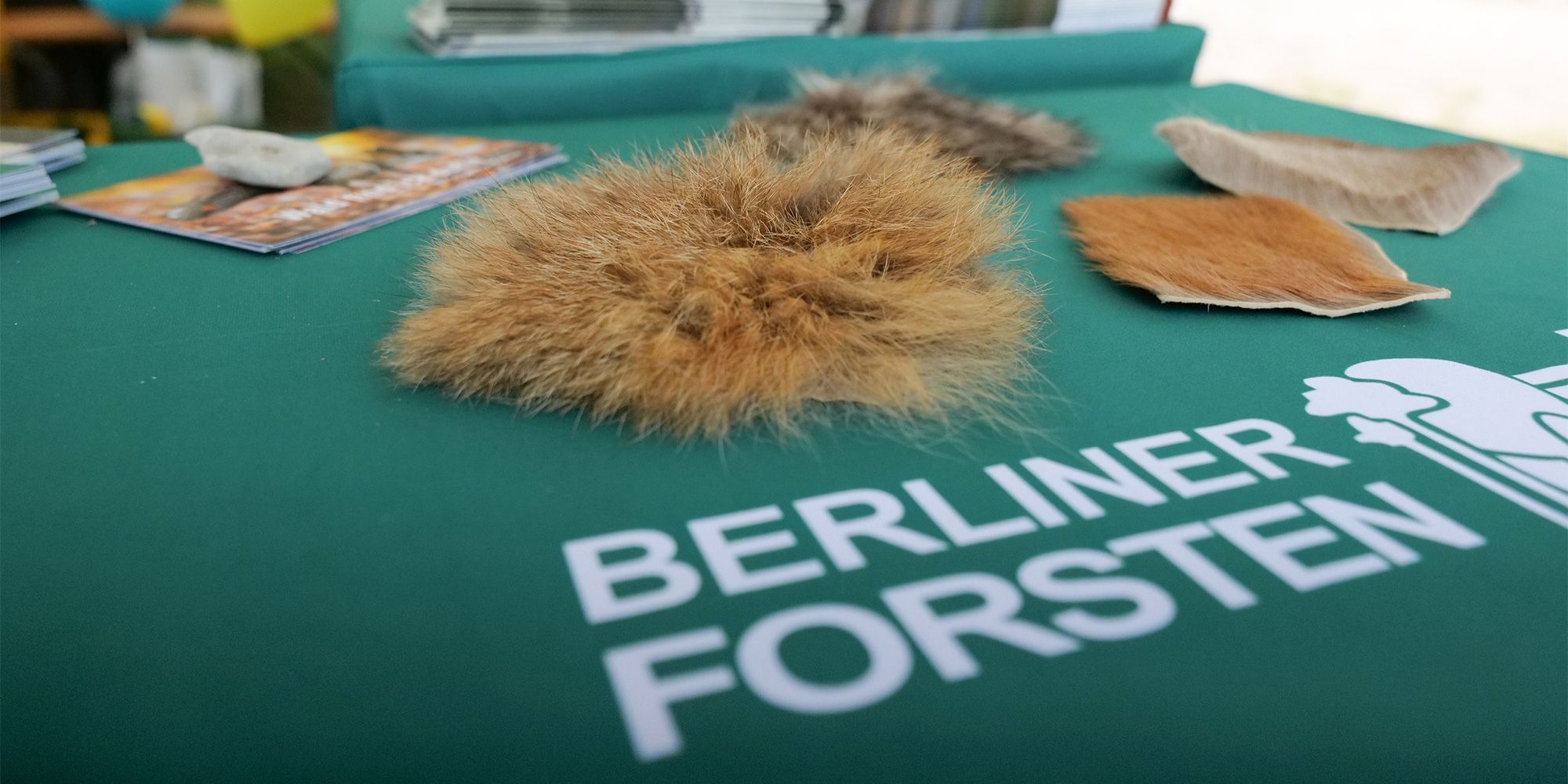 Informationsstand der Berliner Forsten