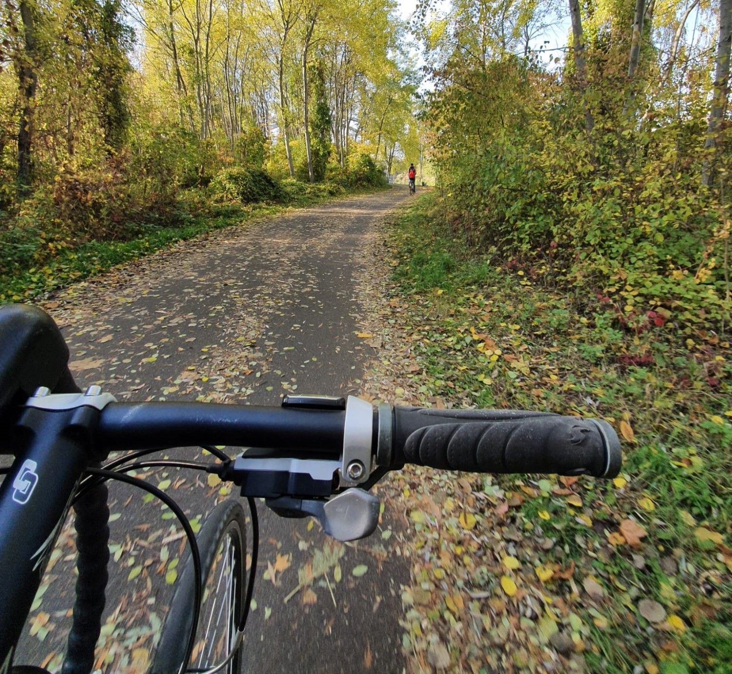 Im Vordergrund ein schwarzer Fahrradlenker. Vor dem Lenker ein asphaltierter Weg. Rechts und links des Weges ein Grünstreifen und viele Bäume. Blätter sind schon abgefallen und liegen auf dem Weg herum.
