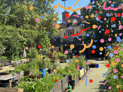 Aufnahme von einem Gemeinschaftsgarten, auf die digitales Konfetti gelegt ist.