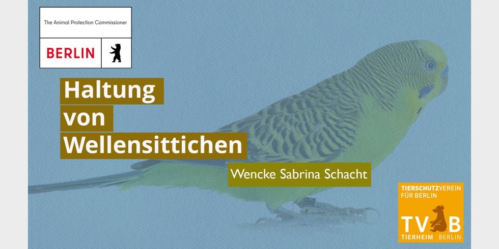 Foto eines Wellensittichs mit der Aufschrift Haltung von Wellensittichen, Wencke Sabrina Schacht, Logo der Tierschutzbeauftragten und des Tierschutzvereins Berlin