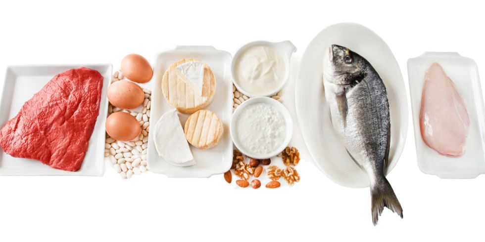 Ein Stück rohes Rindfleisch, Hähnchenbrust, ein roher Fisch, Eier, Käse, weitere Milchprodukte, Nüsse und Bohnenkerne