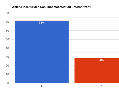 Es wurden 432 Stimmen zum Thema „Schulhofideen“ abgegeben.