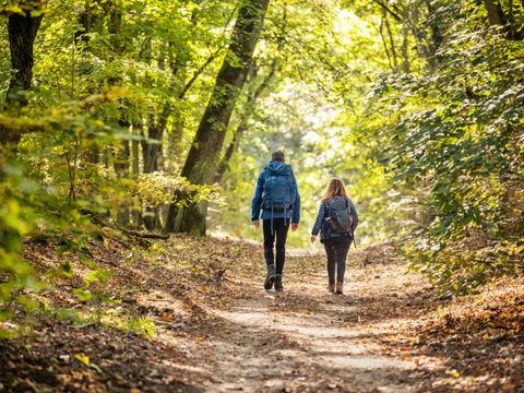 Wanderer im Grunewald