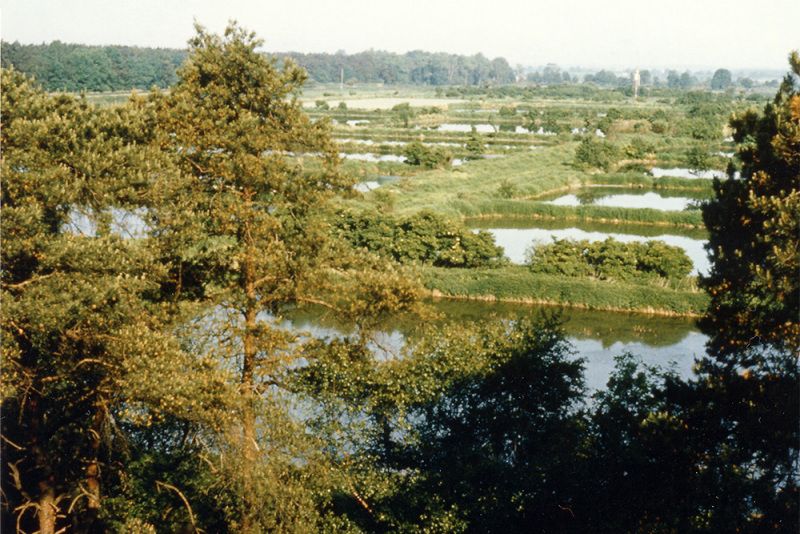 Intensivfilterbetrieb mit ständig und vollflächig überstauten Becken, 2005