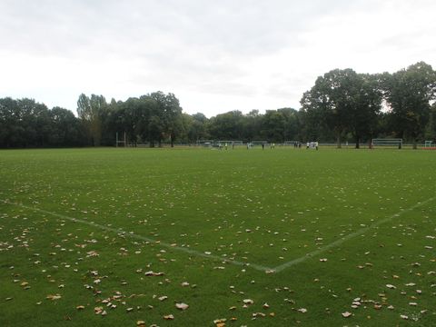 Sportanlage Jungfernheide, 25.09.2012, Foto: Kademann