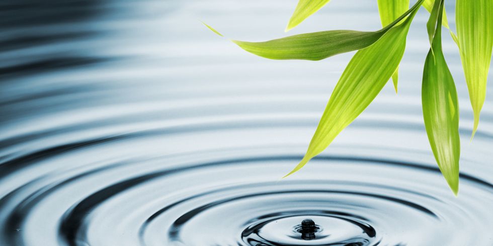 Frische Bambusblätter über Wasser