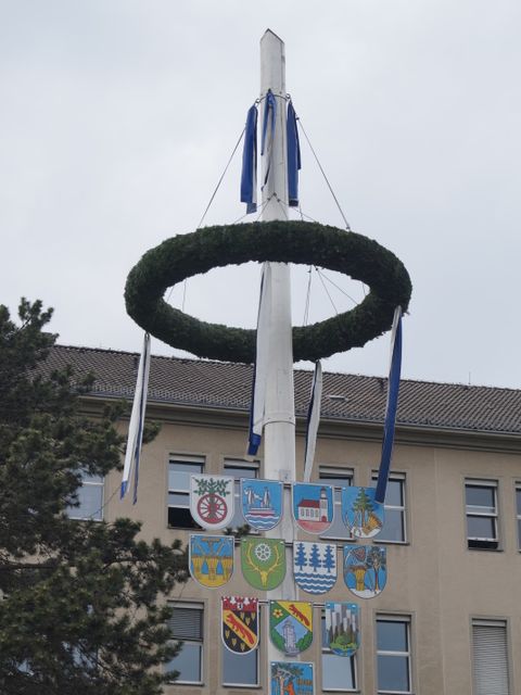 Maibaum 2020 (Bild: BA Reinickendorf)