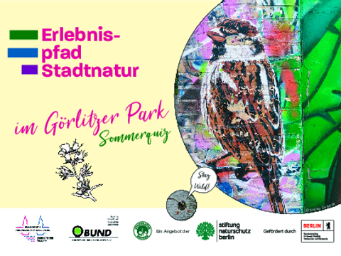 Sommer-Quiz: Erlebnispfad Stadtnatur Görlitzer Park