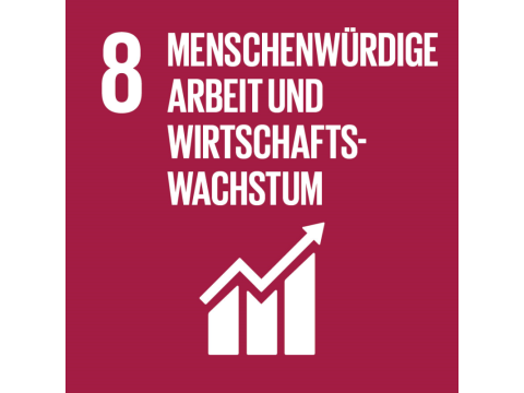 SDG icon 08 - Menschenwürdige Arbeit und Wirtschaftswachstum