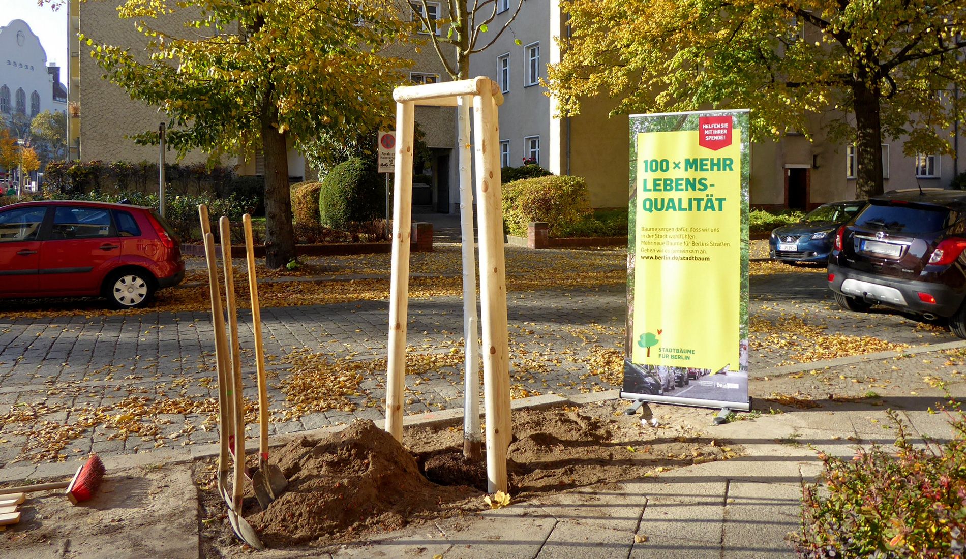 Baumpflanzung in Pankow im Rahmen der Stadtbaumkampagne