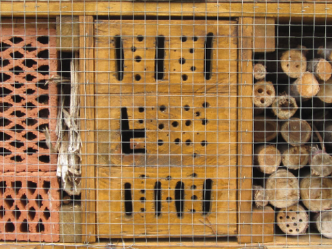 Insektenwohnungen in einem Insektenhotel