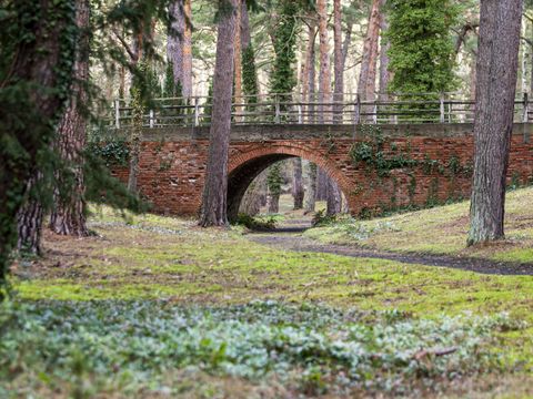 waldfriedhof