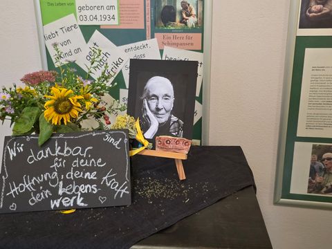 Andenken an Jane Goodall in der Grundschule