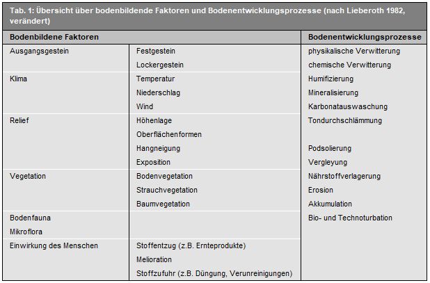 Übersicht über bodenbildende Faktoren und Bodenentwicklungsprozesse
