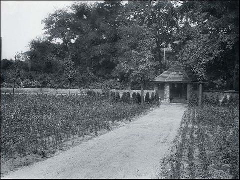 Erwin Barth - Schustehruspark, Weg mit Unterstandshäuschen, um 1917