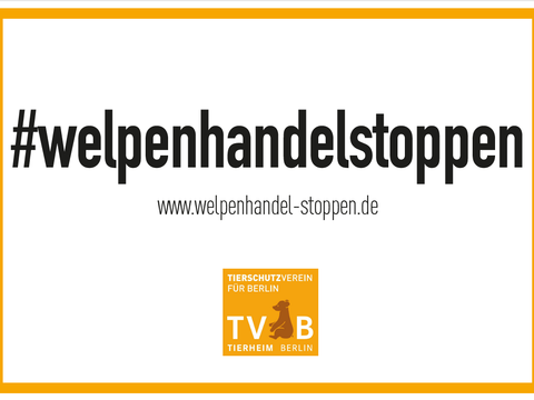 Banner mit der Aufschrift #welpenhandelstoppen