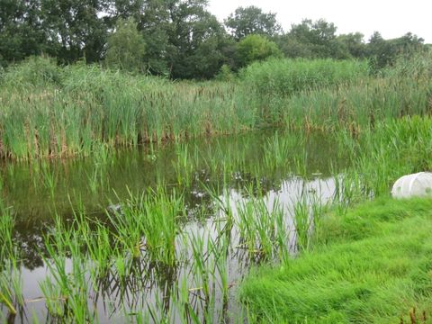 Kleingewässer Blohmstraße