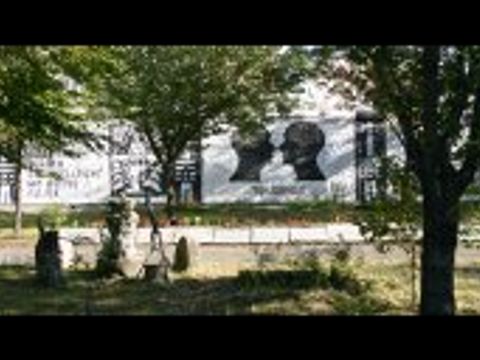 Parlament der Bäume