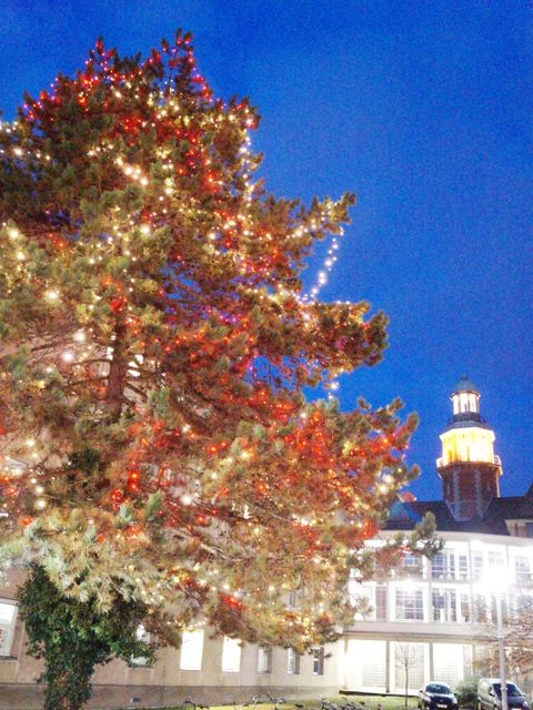 Adventsstimmung am Reinickendorfer Rathaus (Bild: BA Reinickendorf)