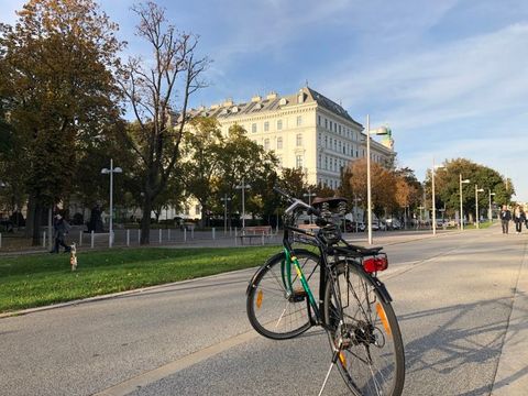 Wohnung am Stadtpark (Bild: Tim M.)