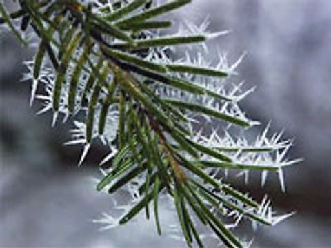 Winter im Naturpark Barnim