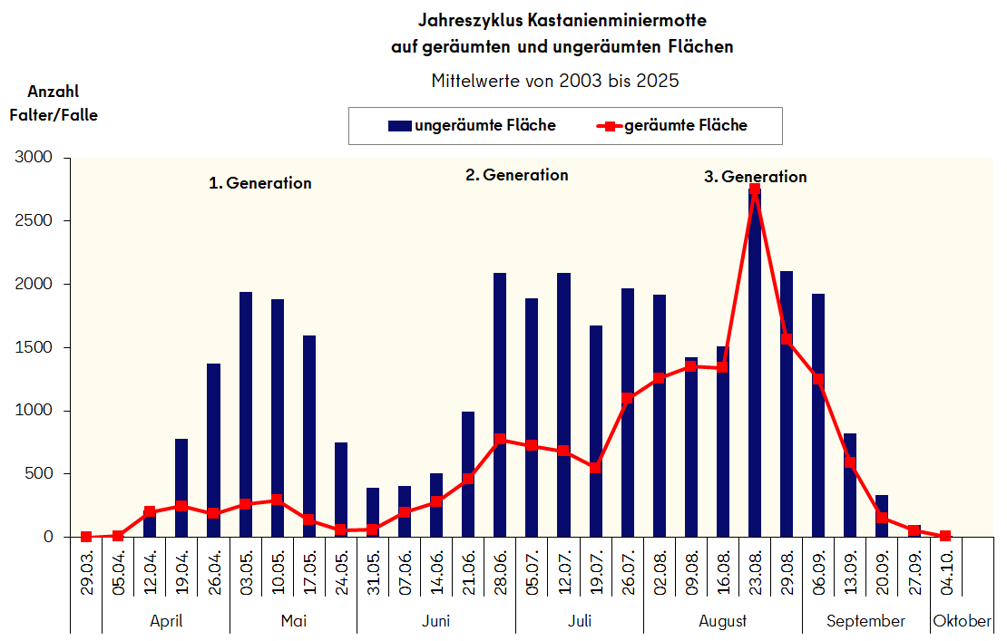 Flugverlauf der Kastanienminiermotte auf geräumten und ungeräumten Flächen 2003 bis 2025