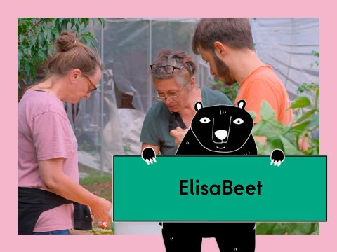 Vorschaubild für das Video Gemeinschaftsgärten: das ElisaBeet in Gesundbrunnen. Abgebildet sind vier Personen bei der Gartenarbeit.