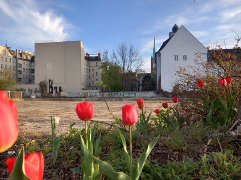 Kiezgarten Frühling 2025
