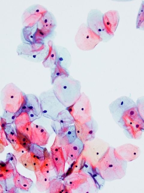 The Cycle Diaries 19