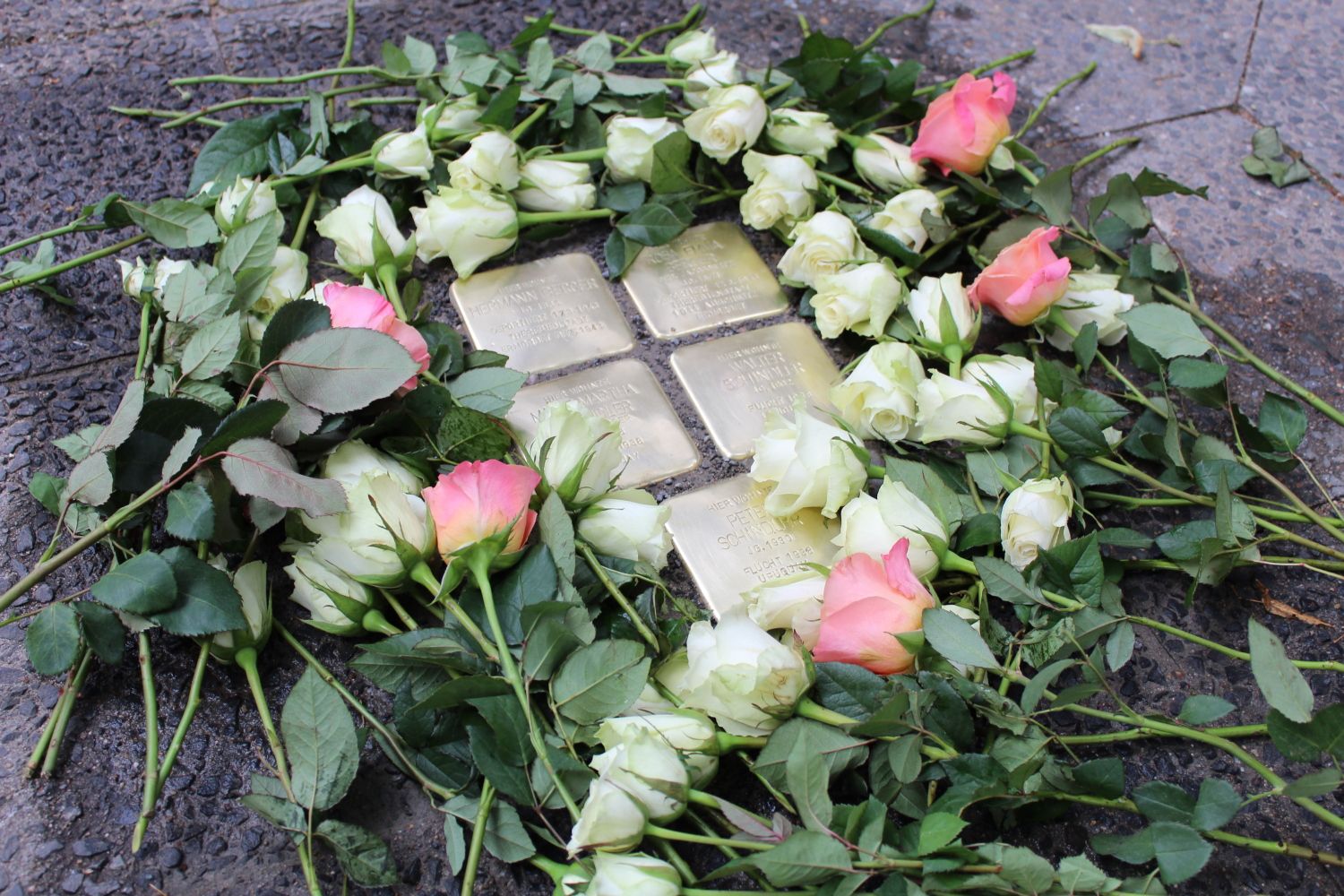2. Juli 2024: Rosen auf den Stolpersteinen vor dem Haus der Diakonie, Berlin-Steglitz