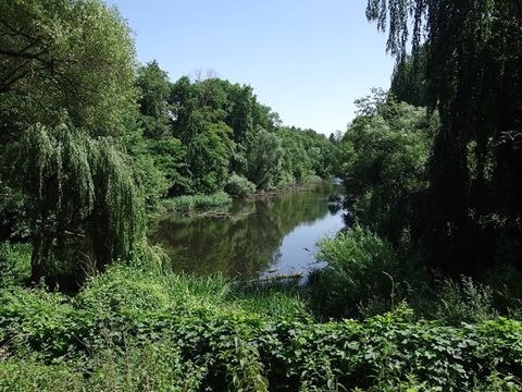 Möwensee